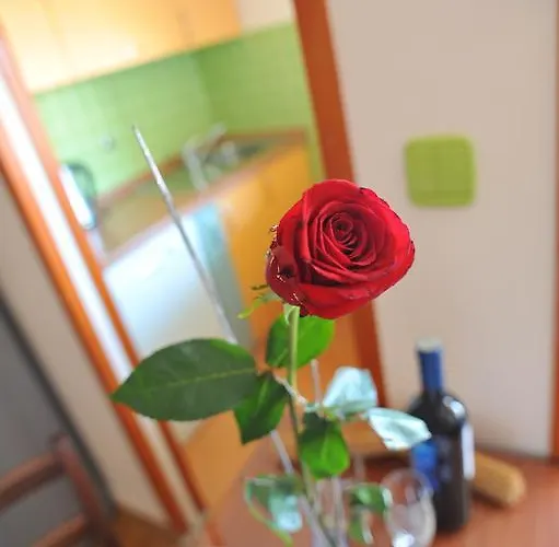 Old Town Ii Задар